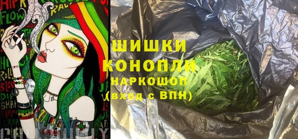 ПСИЛОЦИБИНОВЫЕ ГРИБЫ Алексеевка