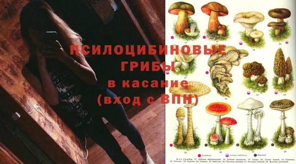 ПСИЛОЦИБИНОВЫЕ ГРИБЫ Алексеевка