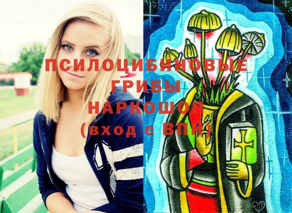 бошки Алзамай