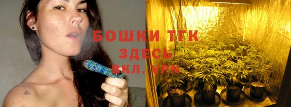 ПСИЛОЦИБИНОВЫЕ ГРИБЫ Алексеевка